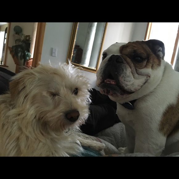 Meet your Posher, Emma - Picture 2 of 3